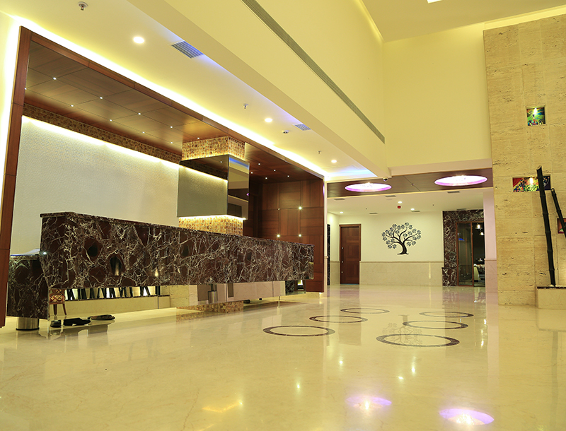 gallery 9